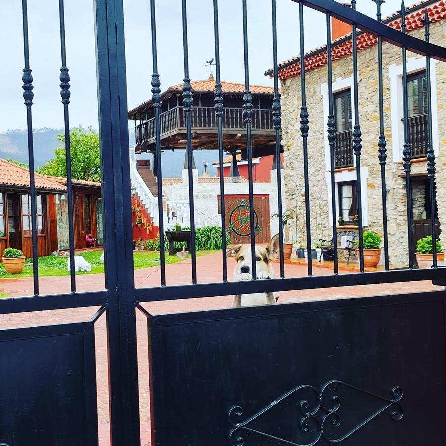 Гостьовий будинок El Perlindango (Adults Only) Villademar Екстер'єр фото